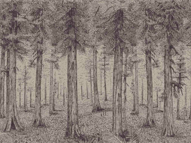 Pierre Frey A Thousand Redwoods Behang  FP803002