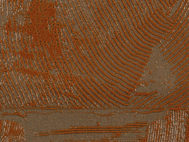 ELITIS Impulsion Behang RM_1022_72