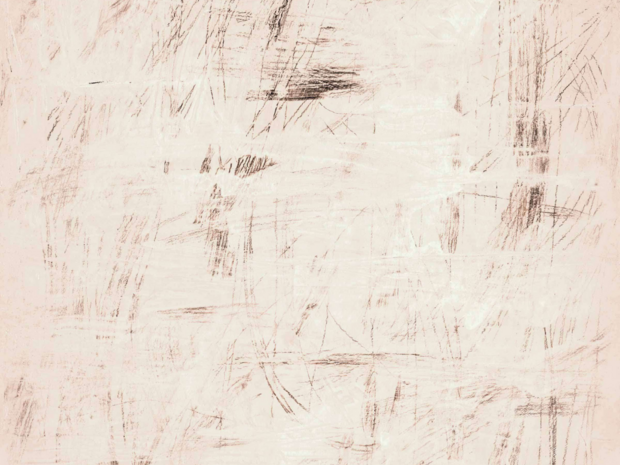 ELITIS Tableau Rose Behang TP_335_01