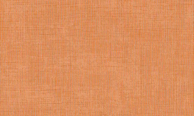 arte tulle behang squash 73092