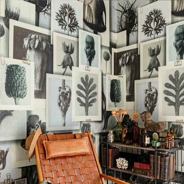 Mind the Gap Blossfeldt&#039;s Art Forms Behang WP20595