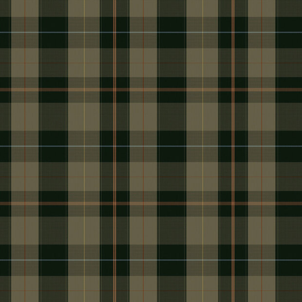 Mind the Gap Equestrian Plaid Behang WP30109