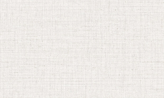 ARTE Puro Behang 27010A white smoke