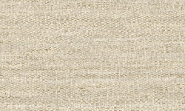 ARTE Lignes Behang 40500A