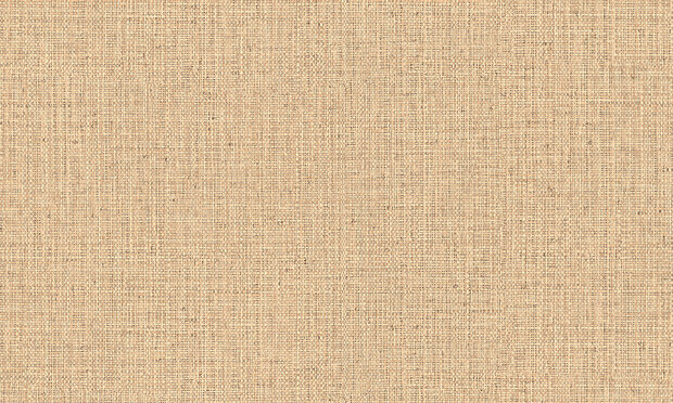 ARTE Nongo behang  49511A