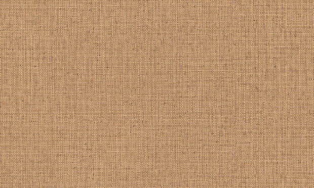 ARTE Nongo behang  49523A