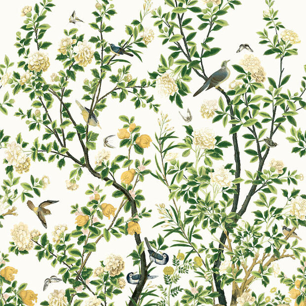 Thibaut Jardin Bloom TM13666 White
