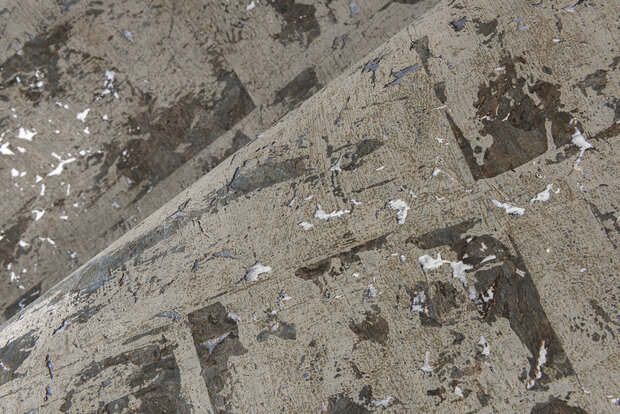 ARTE Eclat Behang 48042