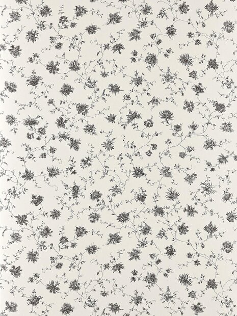 Braquenie La discrete Behang BP361001