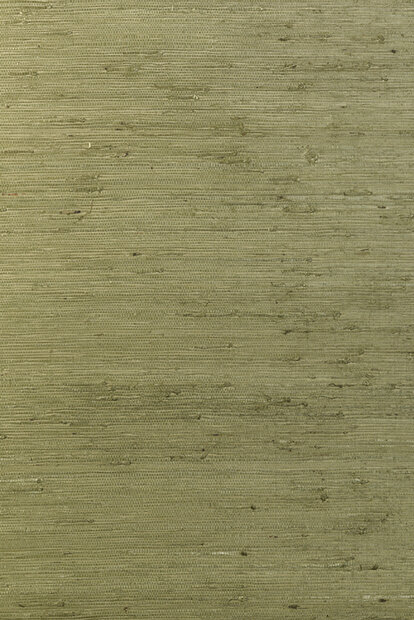 ARTE Kudzu behang 54530