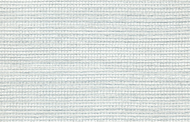 Texam Wall Masters Agave behang SU104