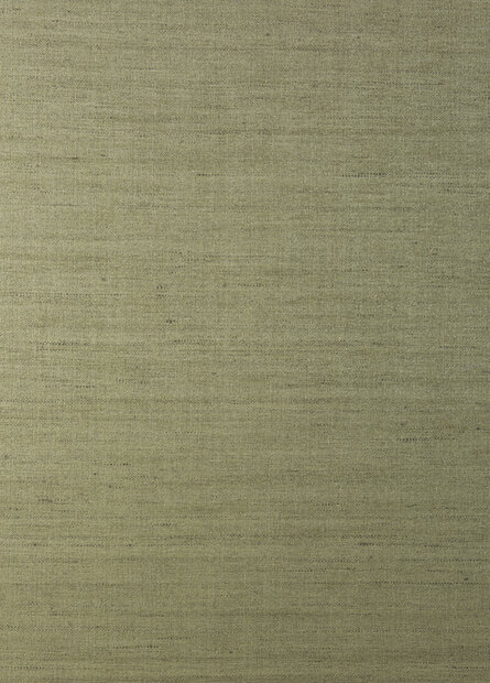 Arte Lazur contract behang Khaki 67579