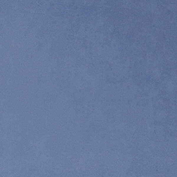 DWC Suedine Behang Suedine 55