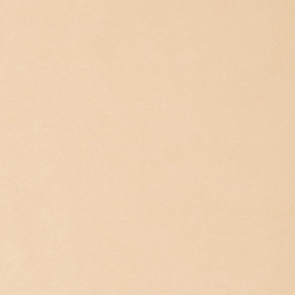 DWC Suedine Behang Suedine 86