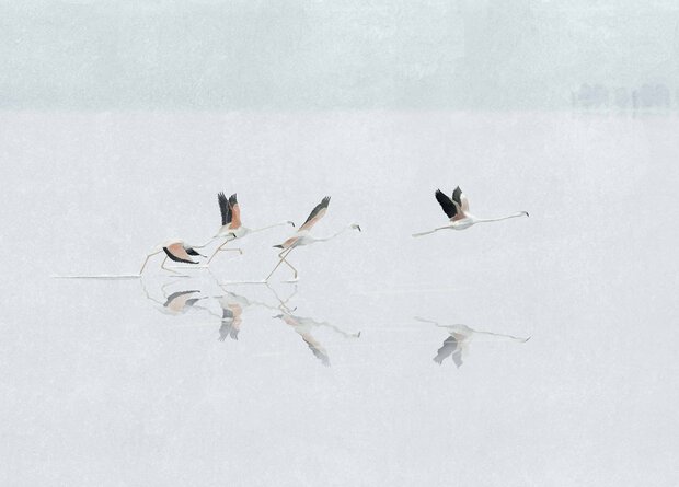 Coordonne Donana Sky Behang - Zijde