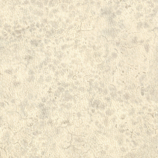 Nobilis Moon Behang DPN20