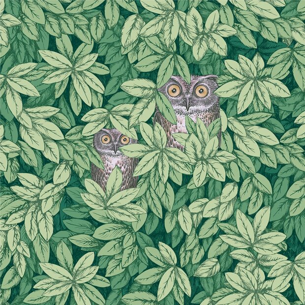 Fornasetti Foglie e civette Behang 123/11054