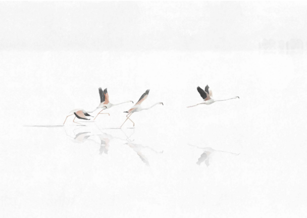 Coordonne Do&ntilde;ana Swan Behang - Linnen A00316L