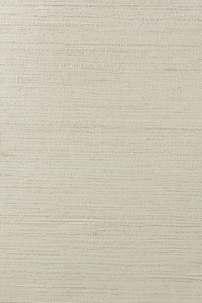 ARTE Contract Silkx Raw Behang 67501