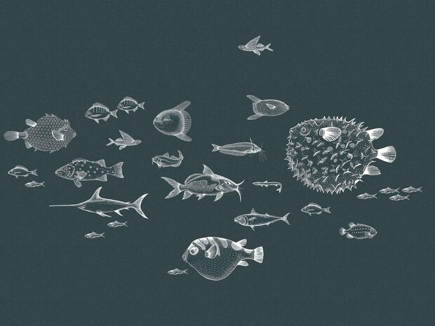 Coordonne Sea Current Behang 9500602