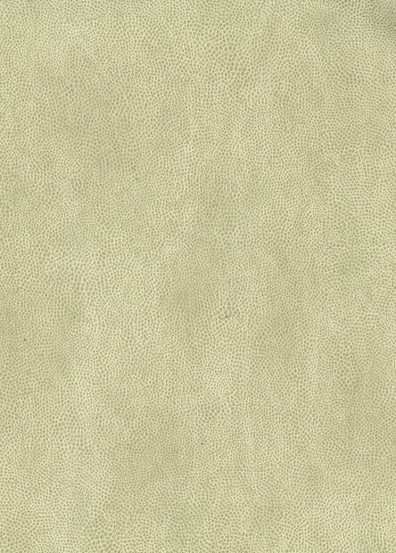 behang osborne and little mako vinyl W6331-02 Luxury By Nature