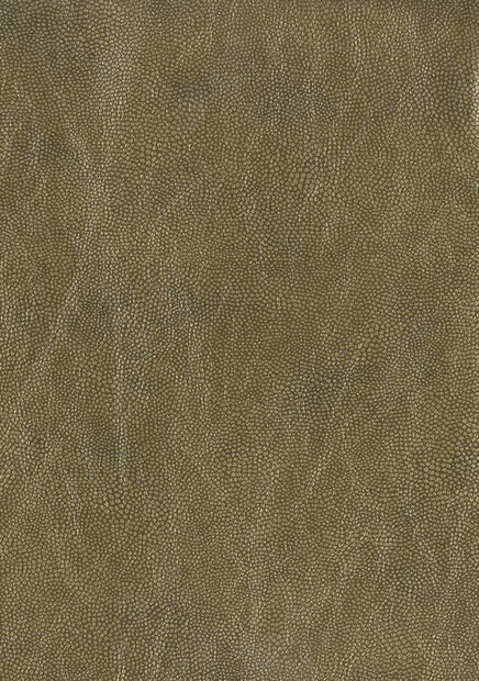 behang osborne and little mako vinyl W6331-07 Luxury By Nature