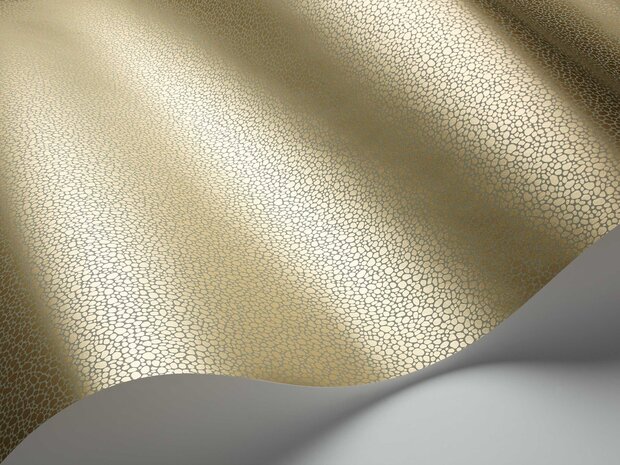 Behang Cole and Son Goldstone 107-9041 Curio Luxury By Nature
