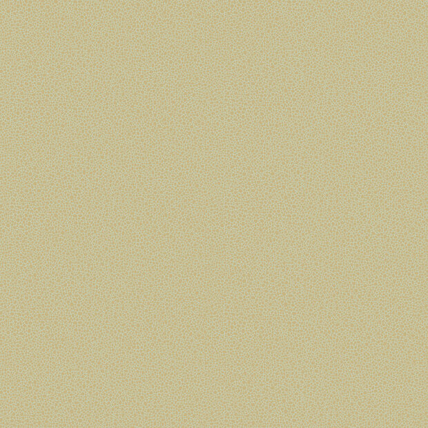 Behang Cole and Son Goldstone 107-9041 Curio Luxury By Nature 2.jpg