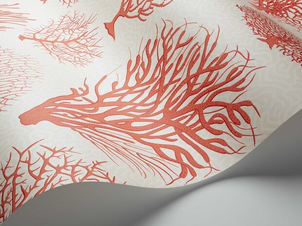 Behang Cole and Son Seafern 107-2011 Curio Luxury By Nature wave.jpg