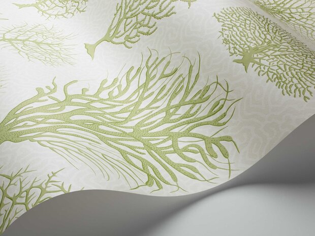 Behang Cole And Son Seafern 107-2008 Curio Collectie Luxury By Nature Wave