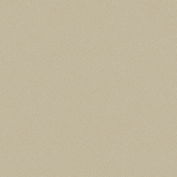 Behang Cole And Son Goldstone 107-9042 Curio Collectie Luxury By Nature