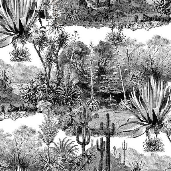 Behang Pierre Frey Pampa Jungle Collectie Luxury By Naturejpg