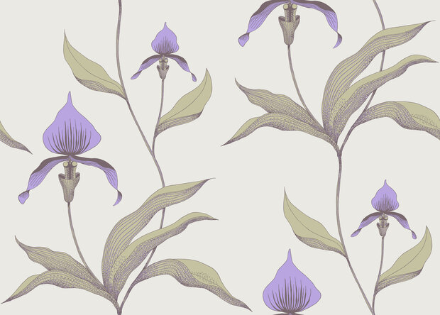 Behang Cole and Son Orchid 66/4024 Contemporary Selection Luxury By Nature