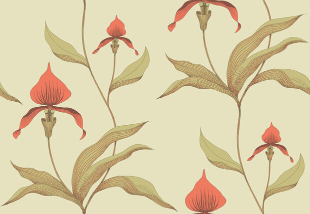 Behang Cole and Son Orchid 66/40233 Contemporary Selection Luxury By Nature