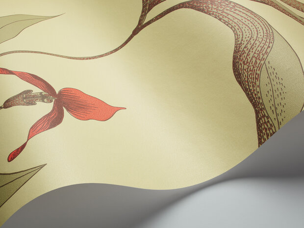 Behang Cole and Son Orchid 66/40233 Wave Contemporary Selection Luxury By Nature