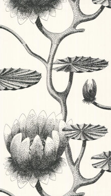 lily 954020  behang cole son luxury by nature