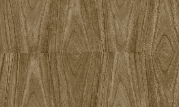 Behang ARTE Axedo 42014 - Ligna Behangpapier Collectie Luxury By Nature.jpg