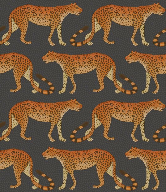 cole and son Leopard Walk 109/2008 behang  Cole and Son