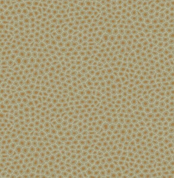 Cole and Son Senzo Spot Behang Ardmore Cole and Son 109-6029