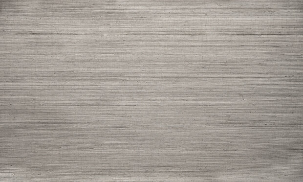 ARTE Line behang 80703 Oculaire collectie