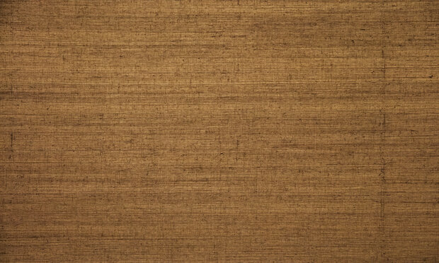 ARTE Line behang 80702 Oculaire collectie