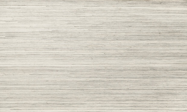 ARTE Line behang 80711 Oculaire collectie