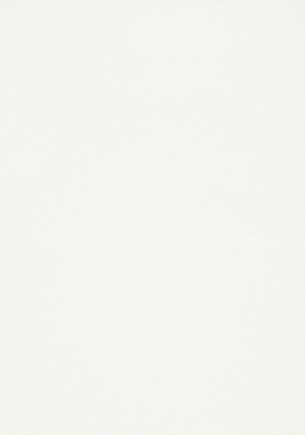 Thibaut behang Surfrider T13112