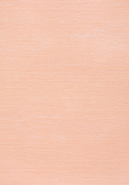 Thibaut behang Surfrider T13114