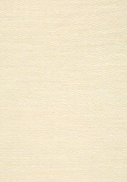 Thibaut behang Surfrider T13111