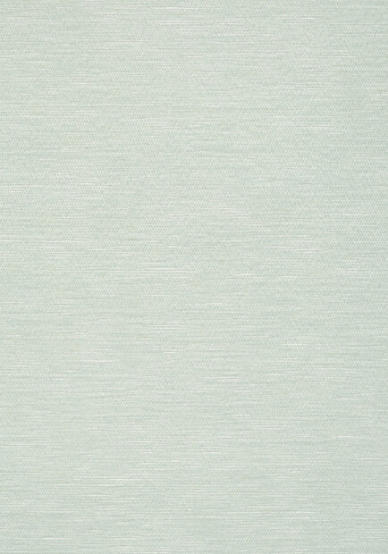 Thibaut behang Surfrider T13113