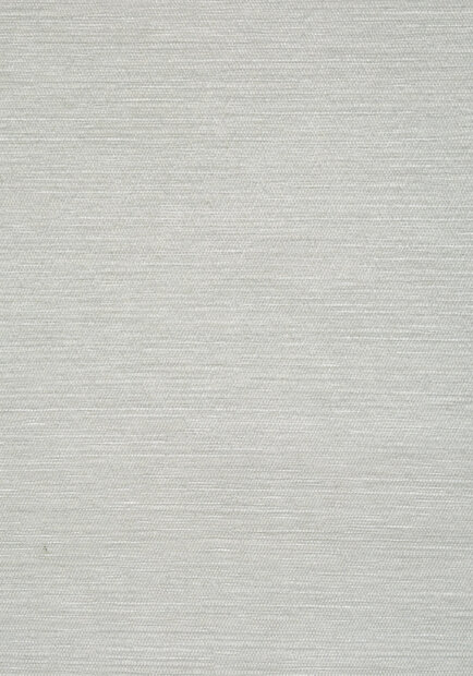 Thibaut behang Surfrider T13108