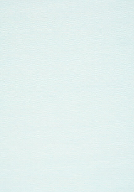 Thibaut behang Surfrider T13109