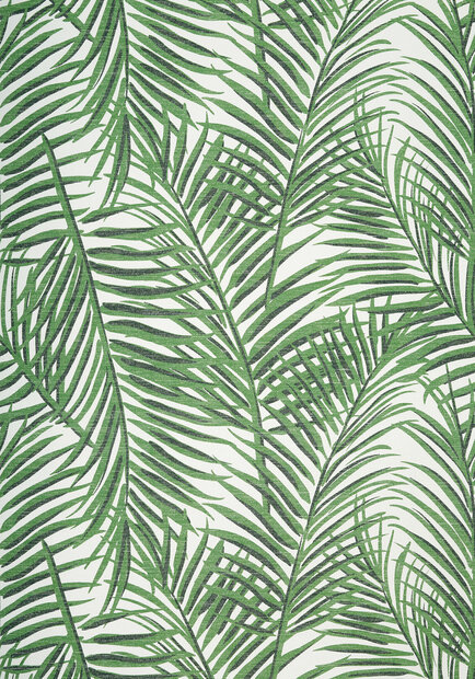 Palmen Behang West Palm Thibaut T13117