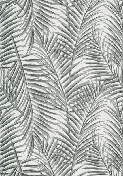 Palmen Behang West Palm Thibaut  T13118